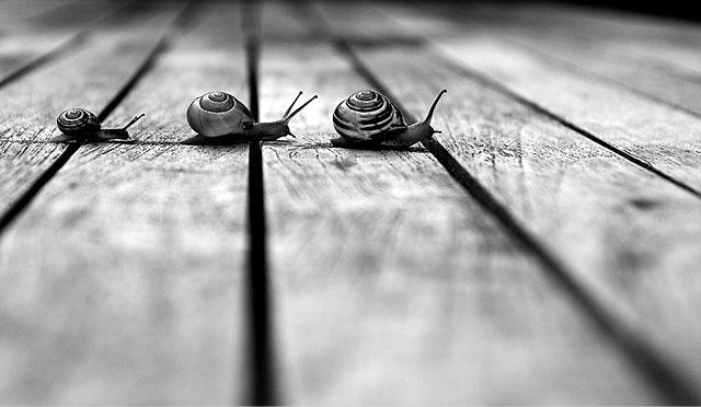 要记住，人之所以走入迷途，并不是由于他的无知，而是由于他自以为知。———卢梭