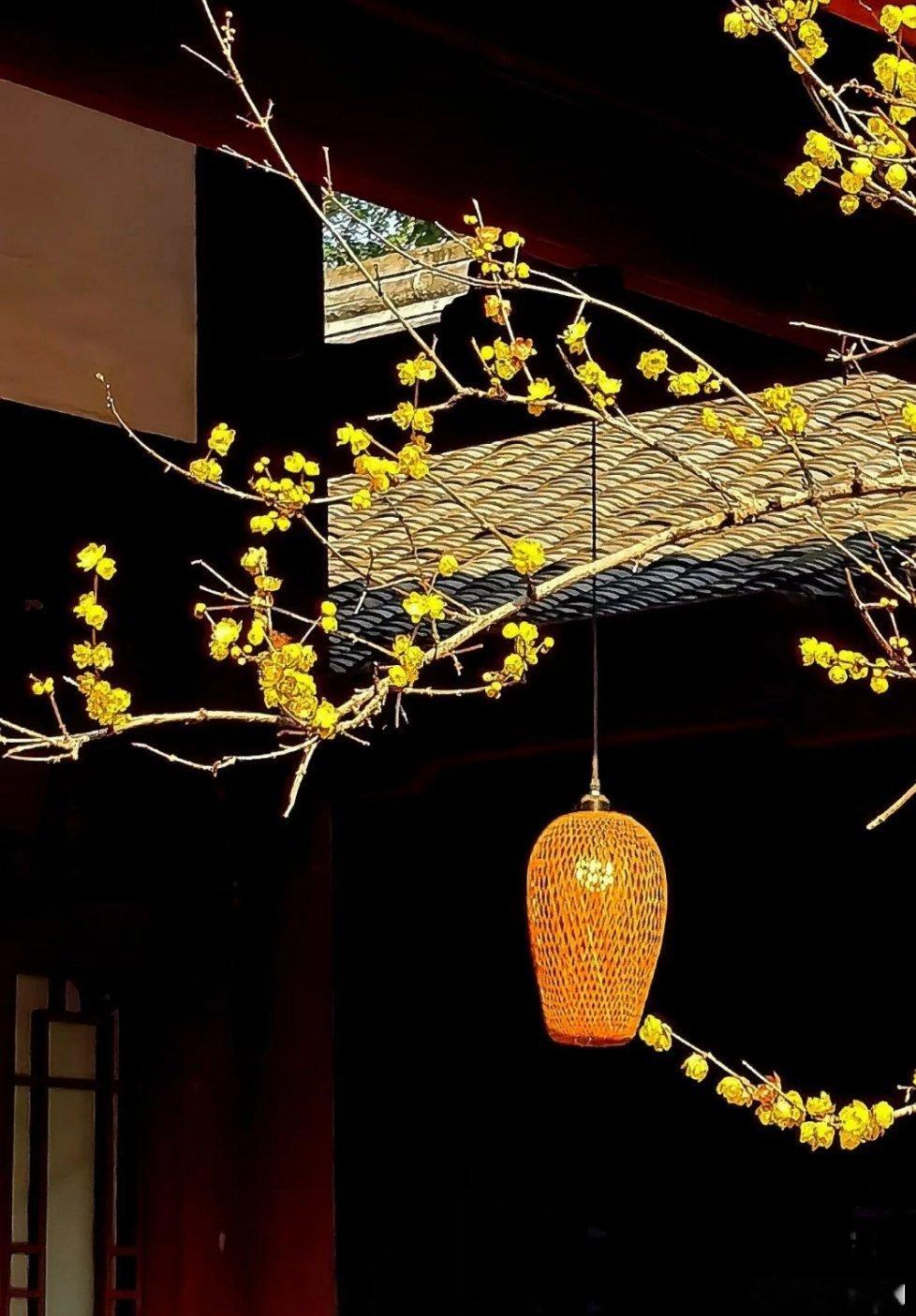 朱棣在位22年，超16年不在京城啊！五次亲征蒙古耗去4年多，从永乐七年起驻跸北京