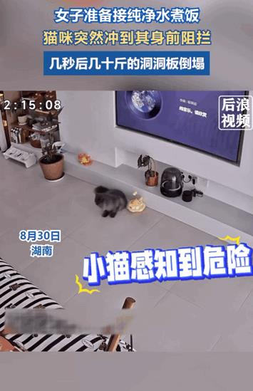 万物皆有灵性！湖南，女子准备去接纯净水煮饭，可是猫咪突然冲到女子前方用身子来阻拦