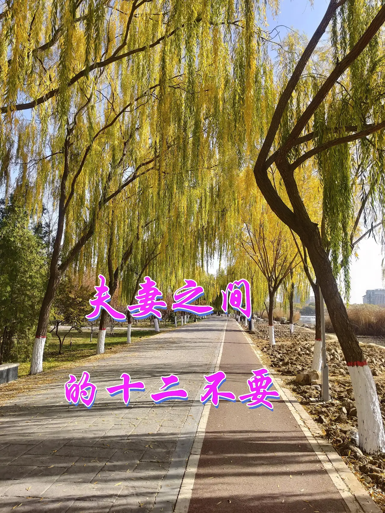 夫妻感情的“粘合剂”：和谐的亲密关系别不信，感情长久和睦的夫妻...