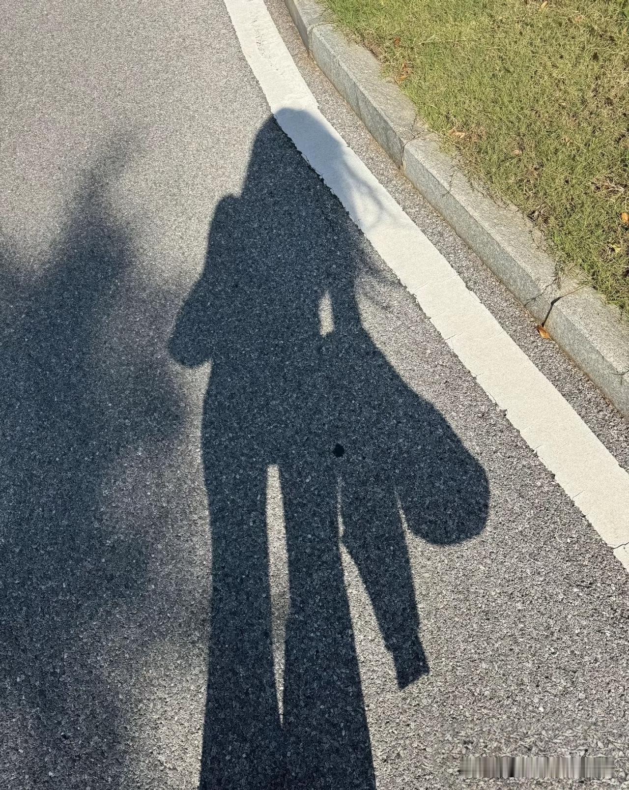 感觉今年的年味一年不如一年……