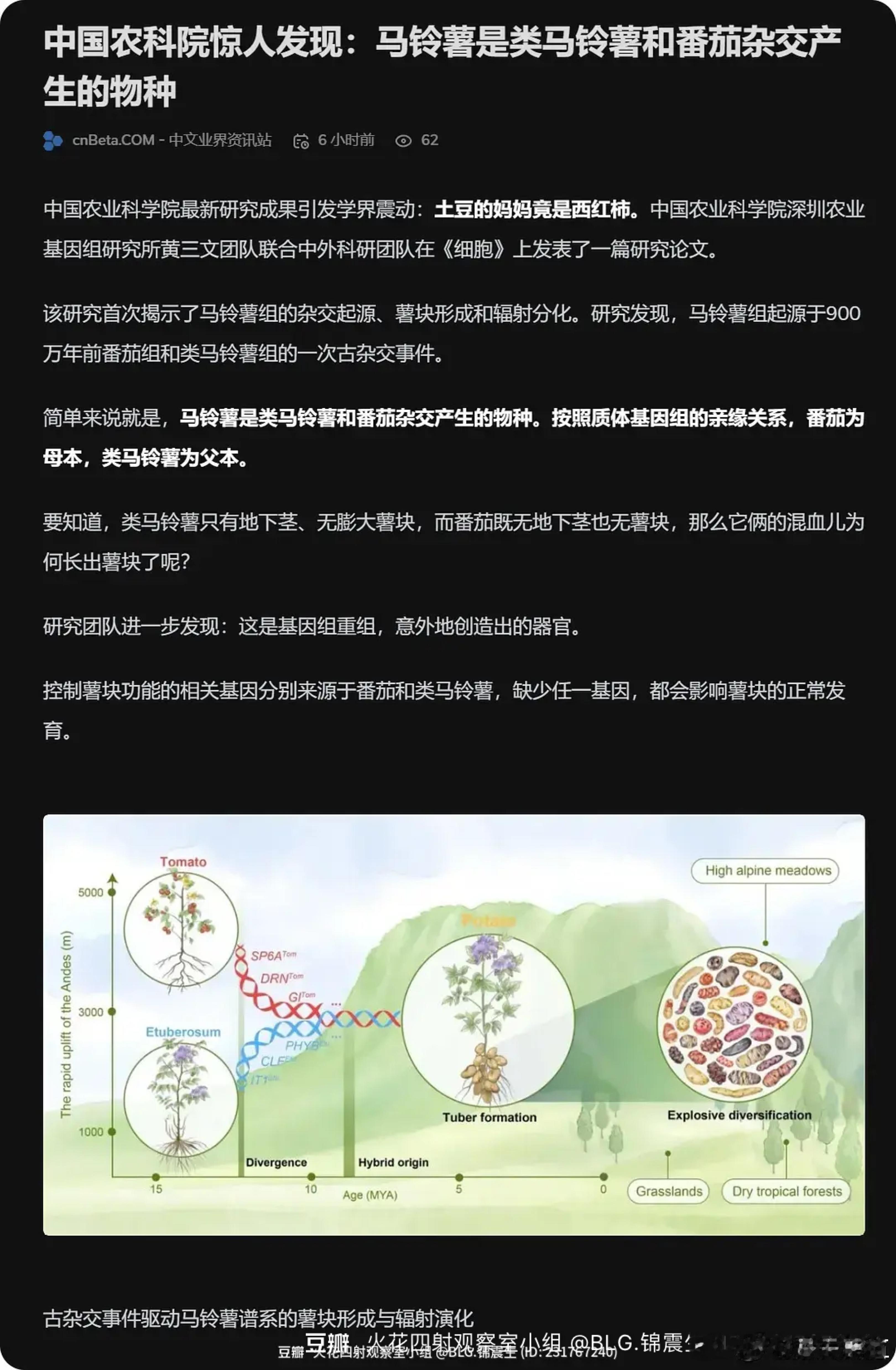 原来土豆🥔的妈妈是西红柿🍅​​​
