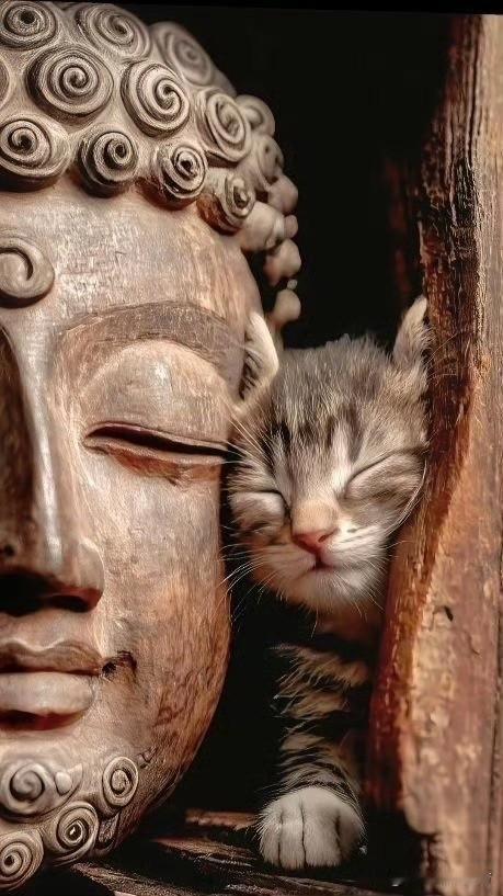 佛本无相，见者好运。请接收。