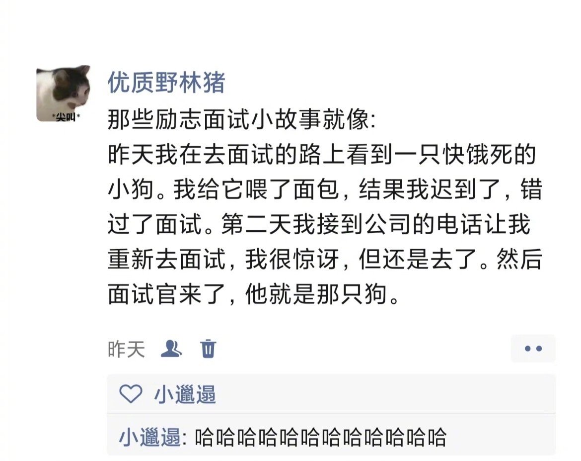 那些励志面试小故事belike