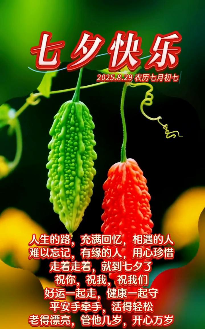 七夕快乐。2025.8.29农历七月初七。人生的路充满回忆，相遇的人难以忘记，
