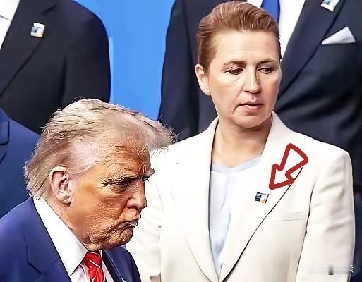 不得不承认，丹麦这位女首相也的确是个人才啊！竟然把格陵兰岛的死局给盘活了。打