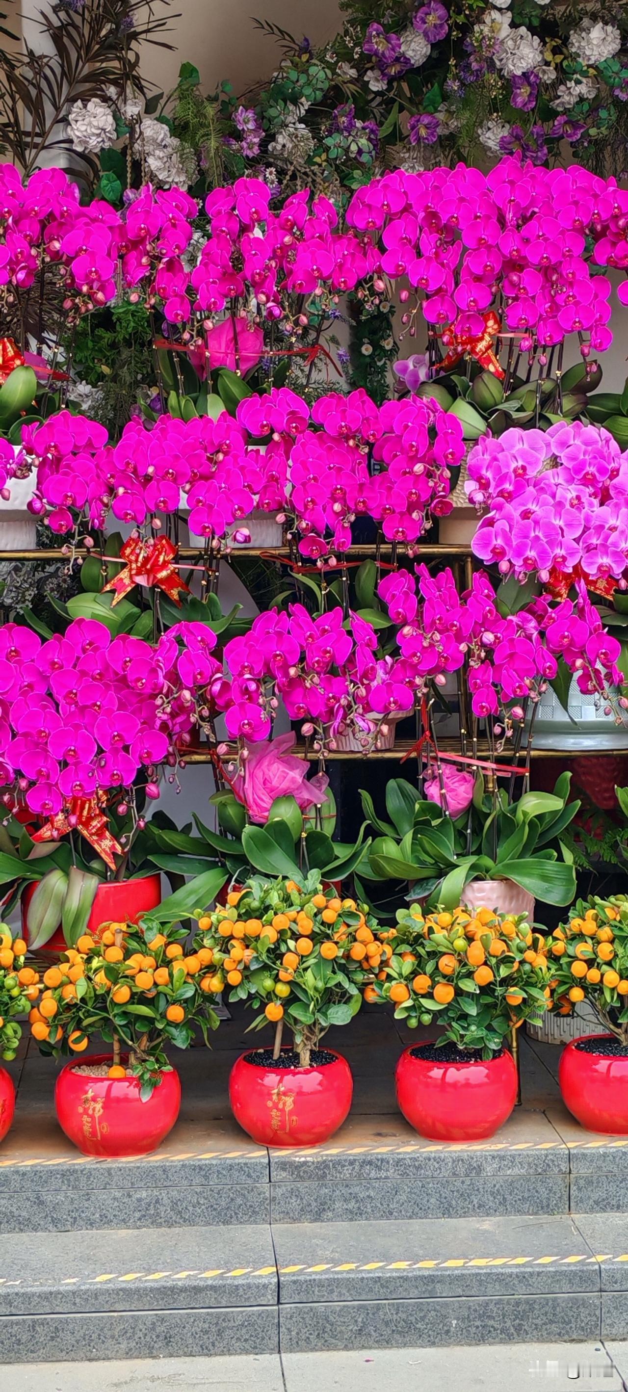 56岁河南大姐离异后，一个人去深圳打工，退休后自己又买了房子。经老乡介绍嫁给了