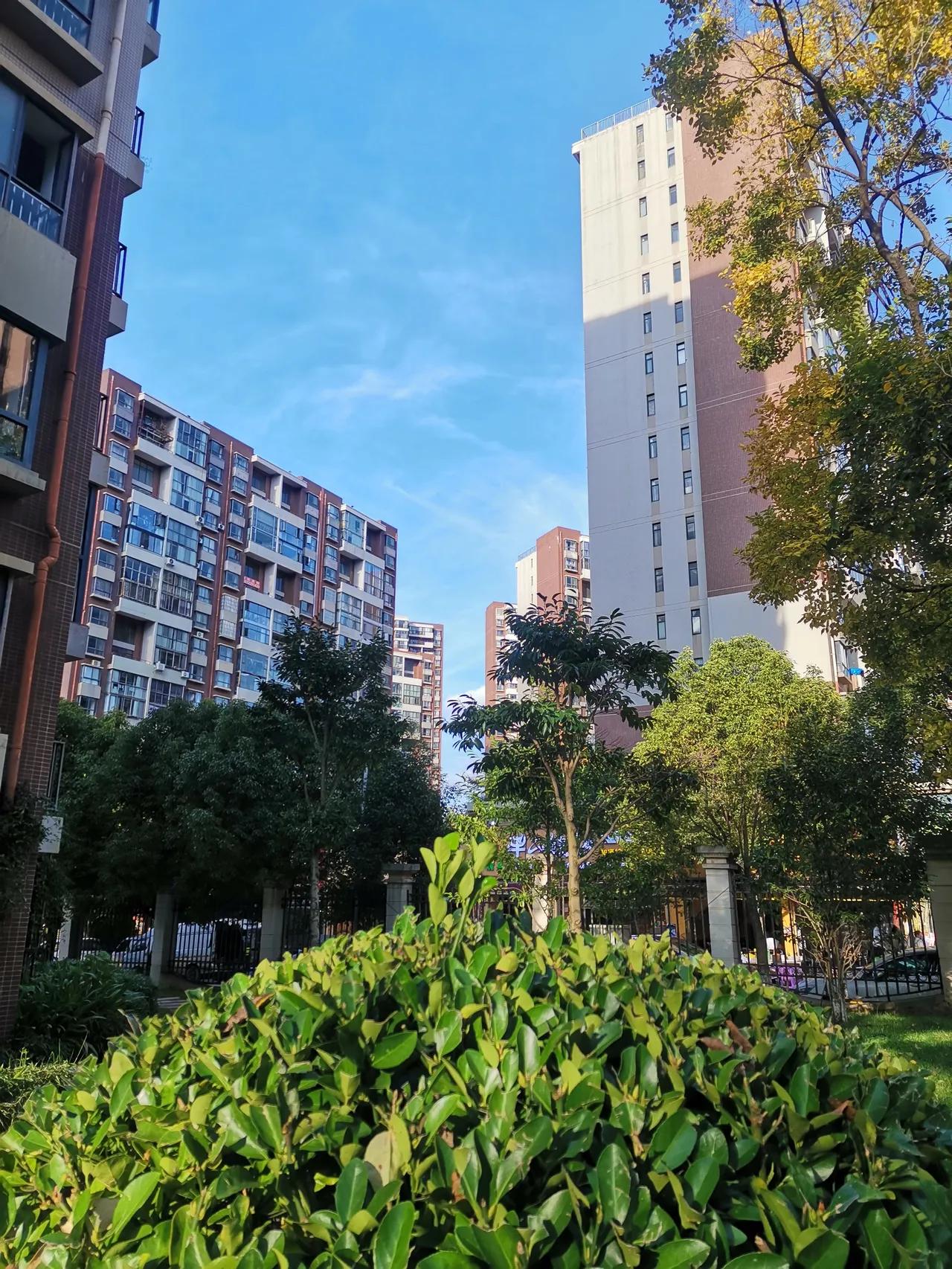 一位教育家说过：