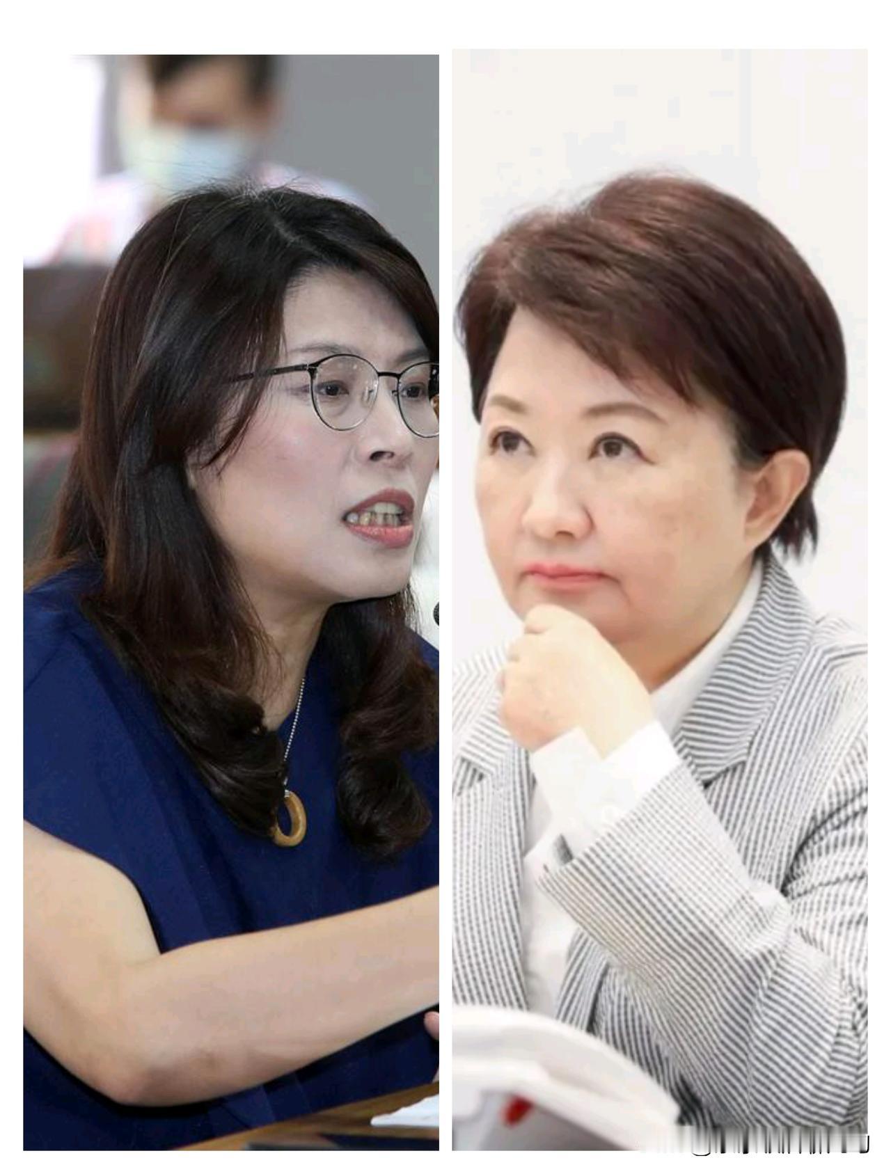 记者问卢秀燕郑丽文当选时，卢秀燕只说了两个字:谢谢！这两个字什么意思？是谢谢