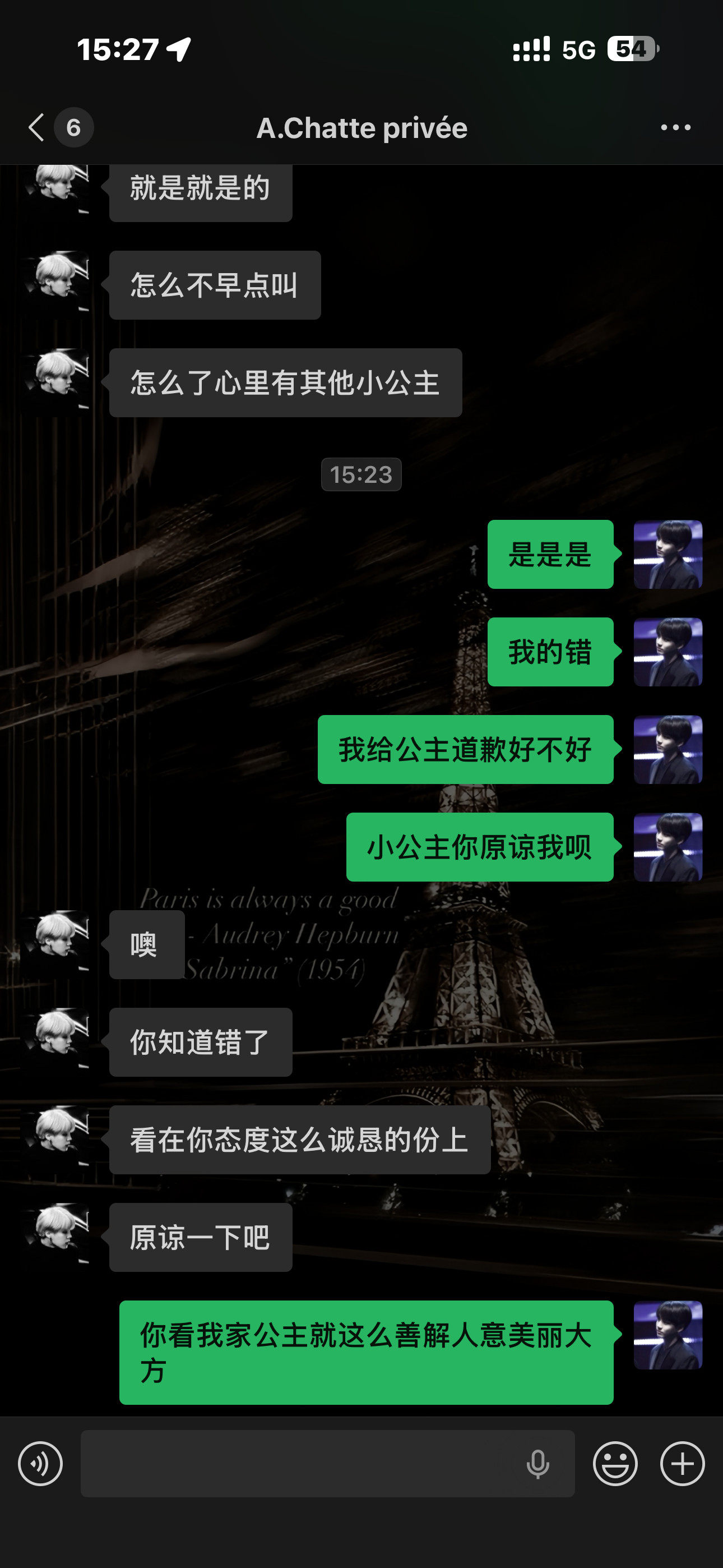 唉，公主，很好