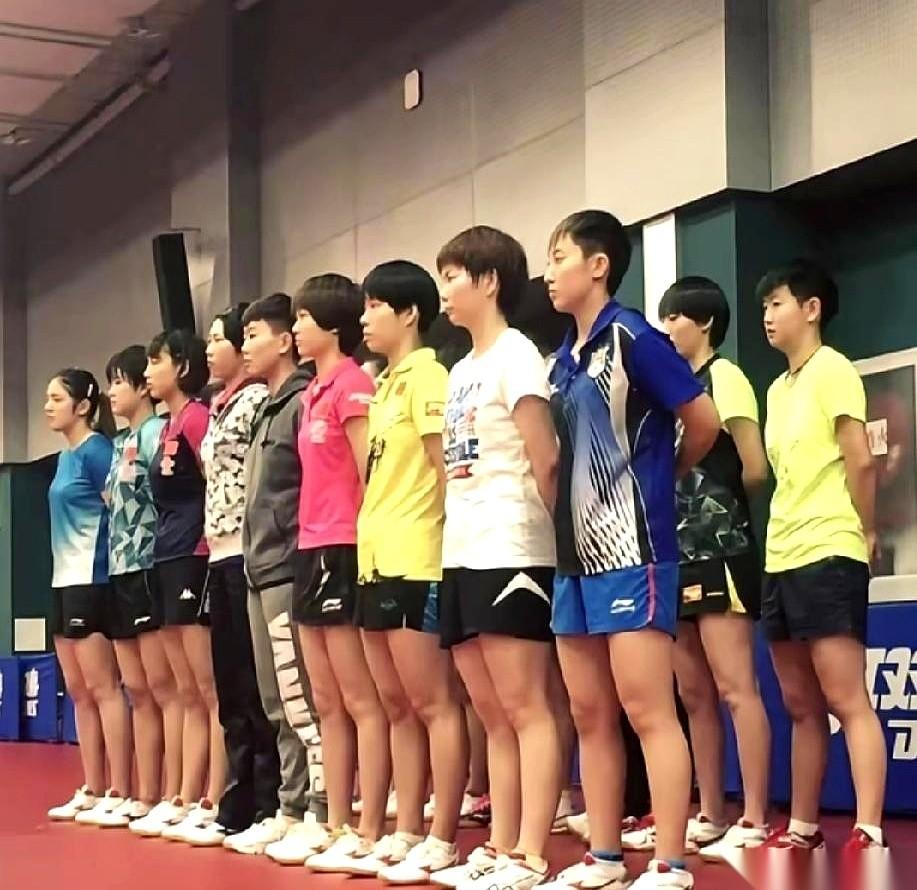 九年前，1月20号。国乒一张大合照。你使劲往后排看，角落里，有个穿黄色队服的小