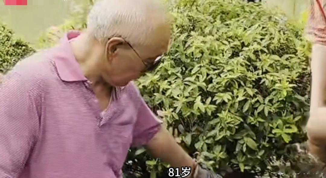 81岁爷叔上海模子81岁上海老爷叔，有腔调，上海模子！大杨浦，出这种好人好事，相