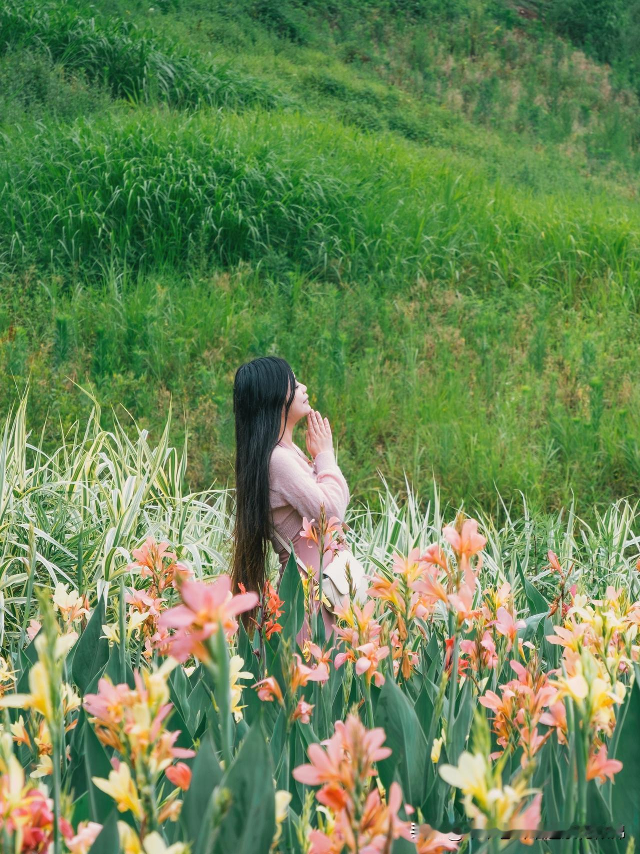 五月的天，重庆竹溪河刚诞生的夏天5月的竹溪河，网红月见草花逐渐凋谢，但更多的