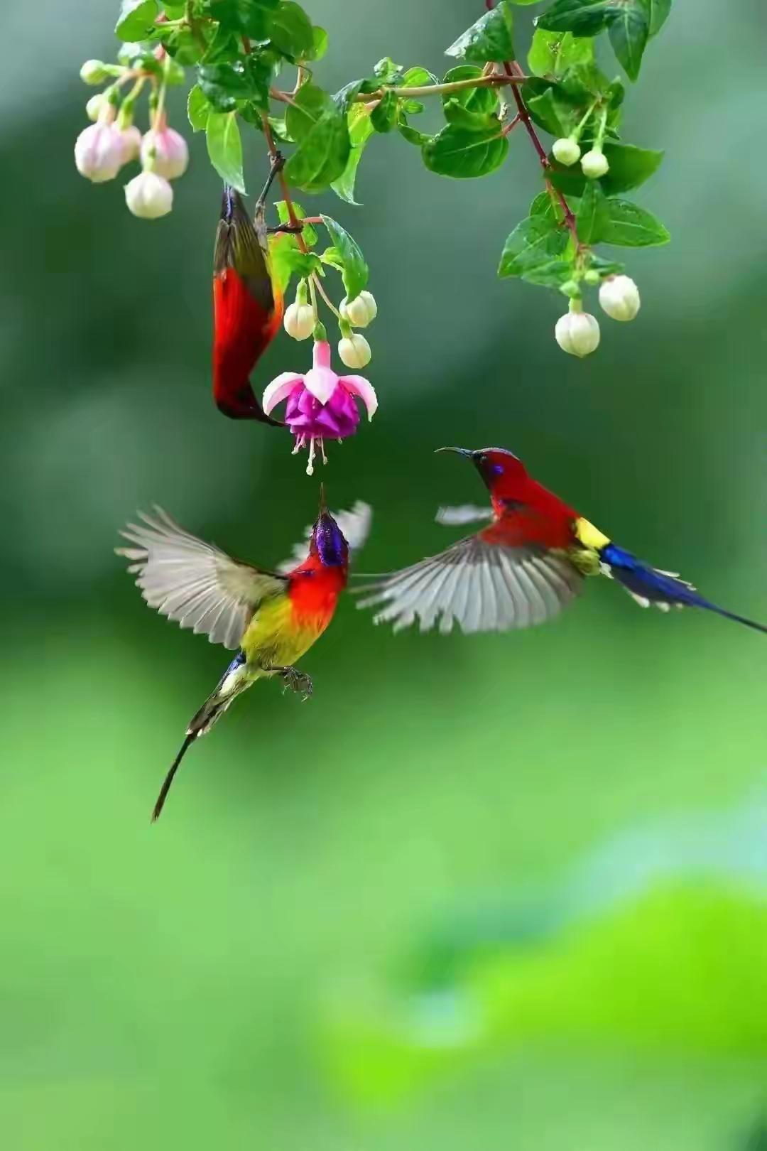 早餐别晚于这个点！