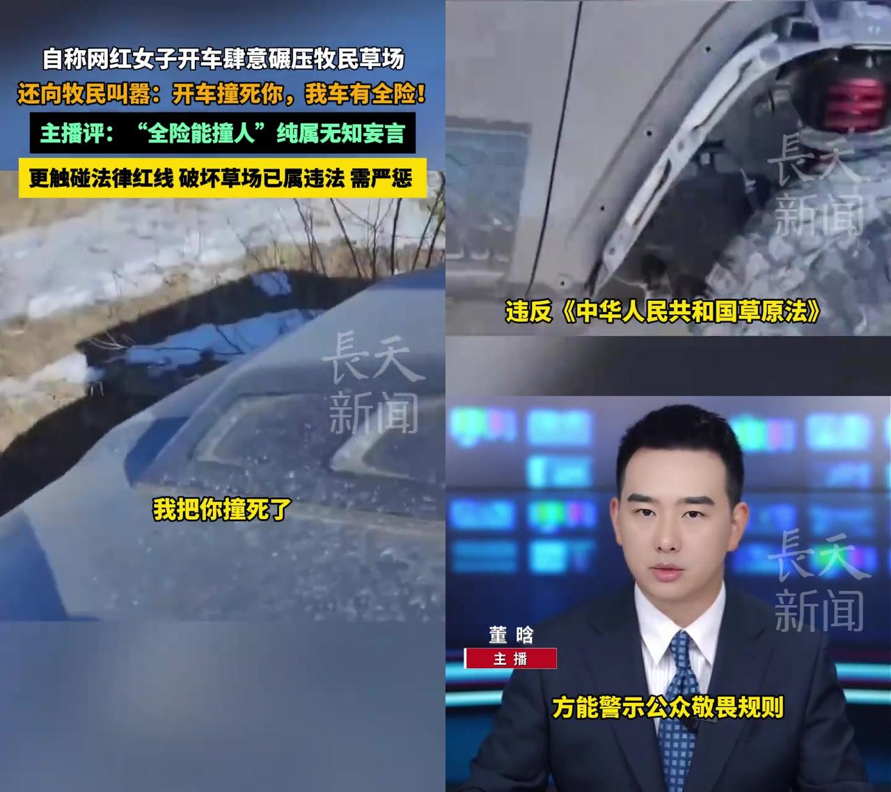 见过把全险当撞人免单券的吗？内蒙古有个自称网红的女的，开越野车扎进牧民草