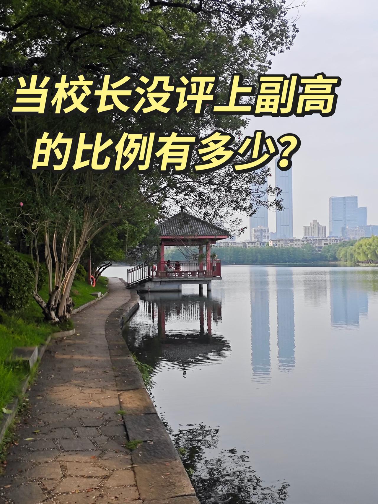 很多老师默认，当上校长，副高基本就稳了。真实情况并不是这样。先说整体数据，