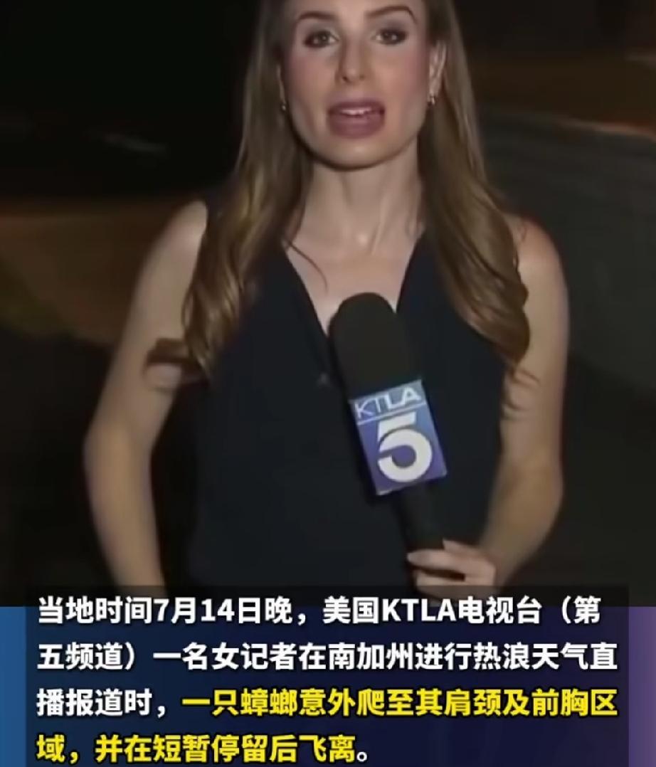7月14日晚，美国南加州。KTLA电视台（第五频道）直播热浪天气。女记者正对着镜