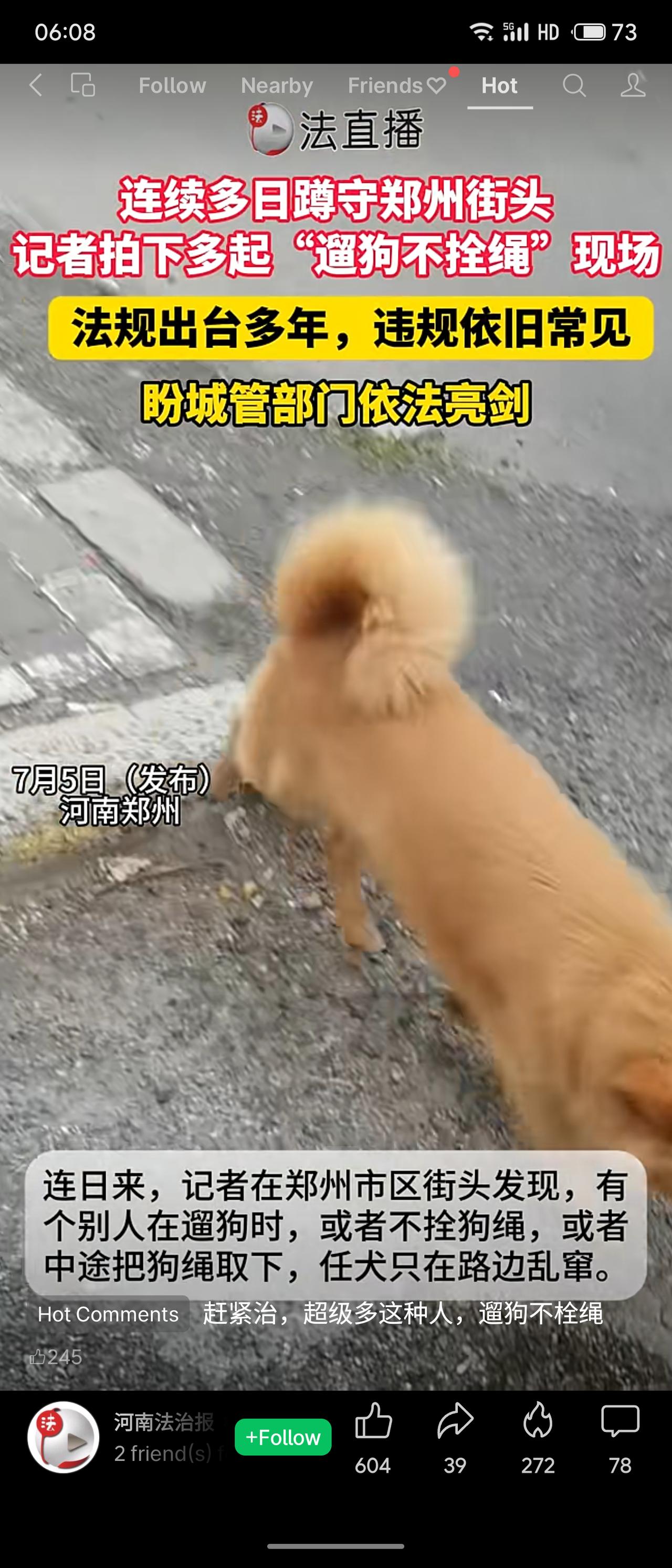 河南法直播记者连续多日蹲守郑州街头，拍到多起“遛狗不拴绳”违规行为，该现象违反《