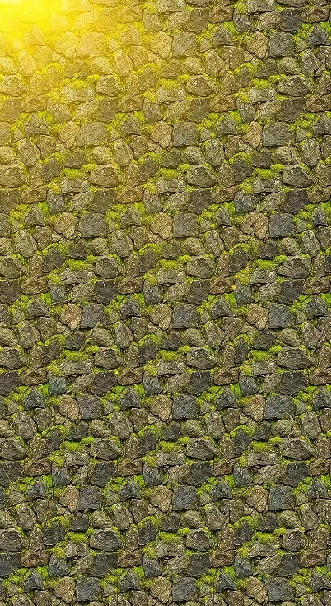 有人非说图片里有3个字，3天了，我怎么1个都没有看到。你能看出来吗？火眼金睛的来
