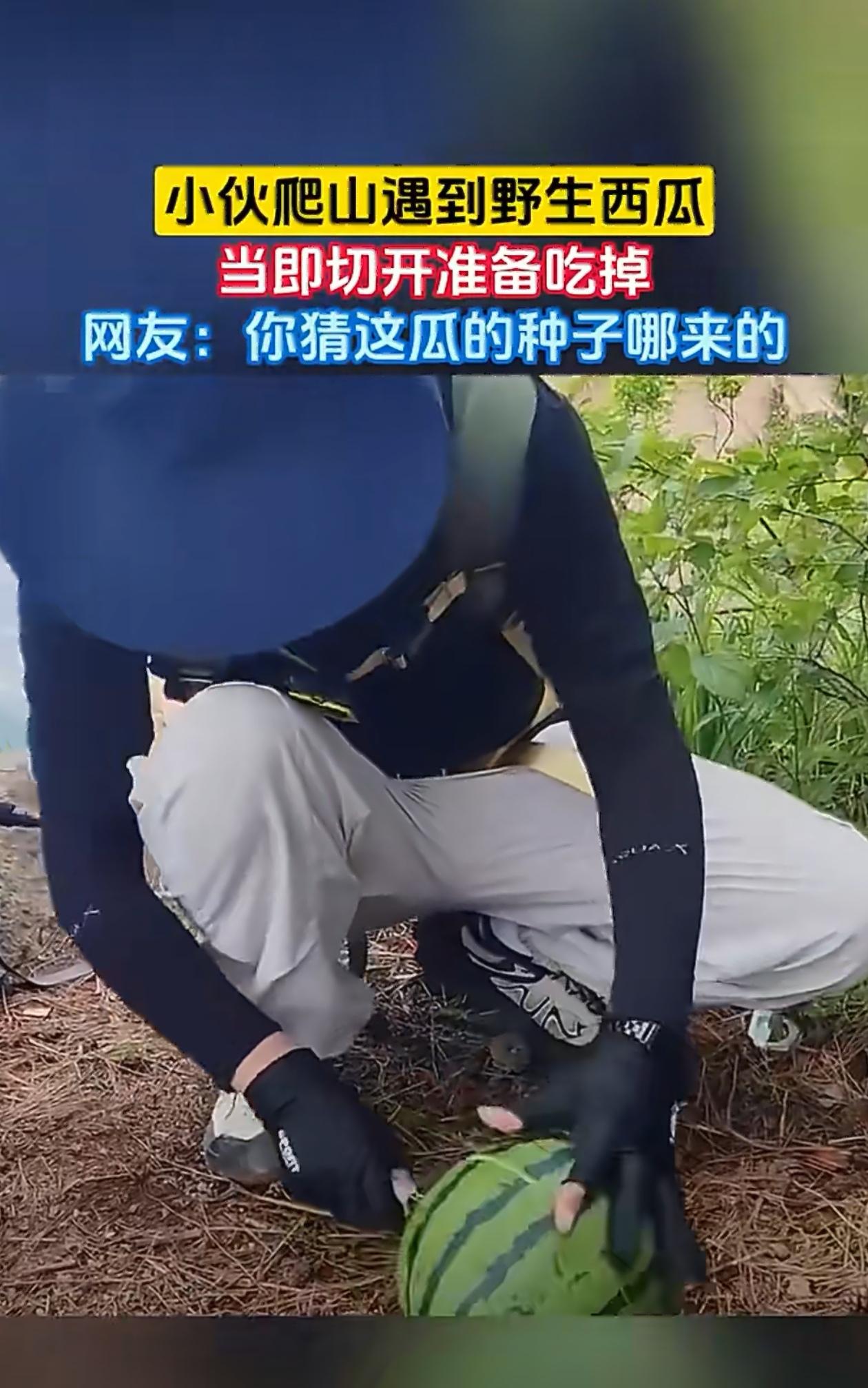 大家说说，这西瓜的种子从哪来的？[呲牙笑][呲牙笑]