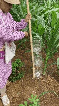 劳动者的智慧不容小觑。这个发明是真的不错。