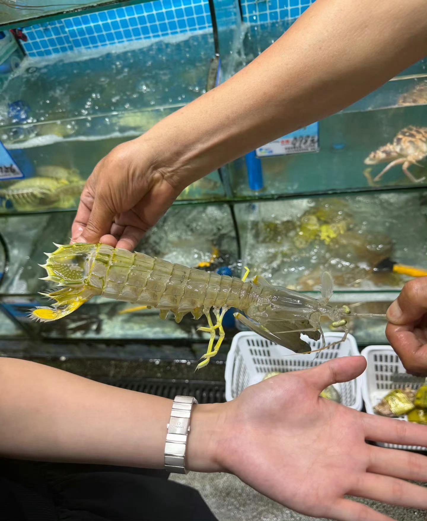 4只皮皮虾1035元涉事海鲜店回应如果是图一的大小，这价格肯定值，想想都美味如果