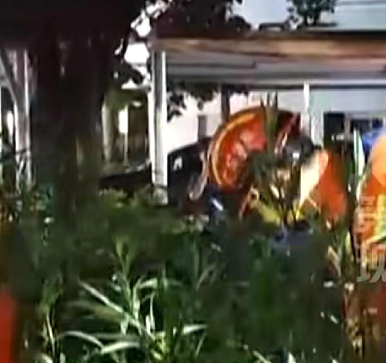 深圳的夜晚，还让不让人出门了广东深圳坪山区有人反映，在小区内的草丛中发现了奇怪