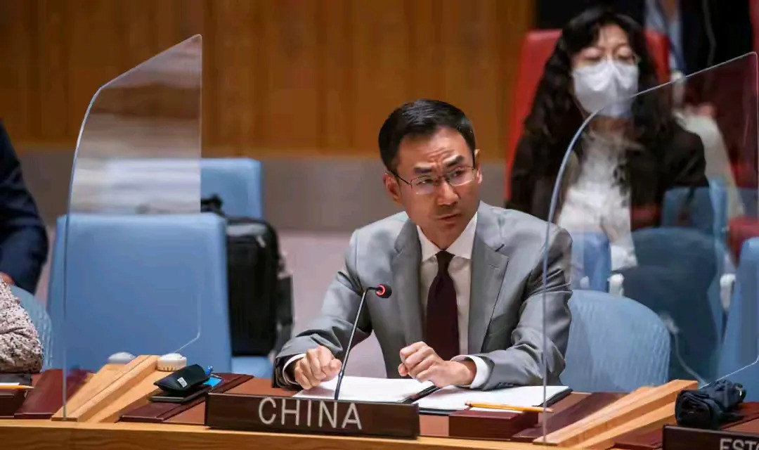 安娜莱娜被中国大使质问天啊，你们听说了吗？就在联合国大会