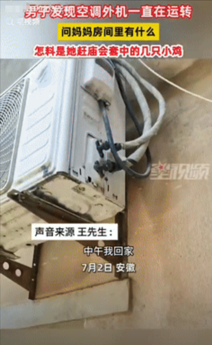 “有钱就是任性！”7月2日，安徽一女子因天气炎热，担心楼上养的4只小鸡被热死，索