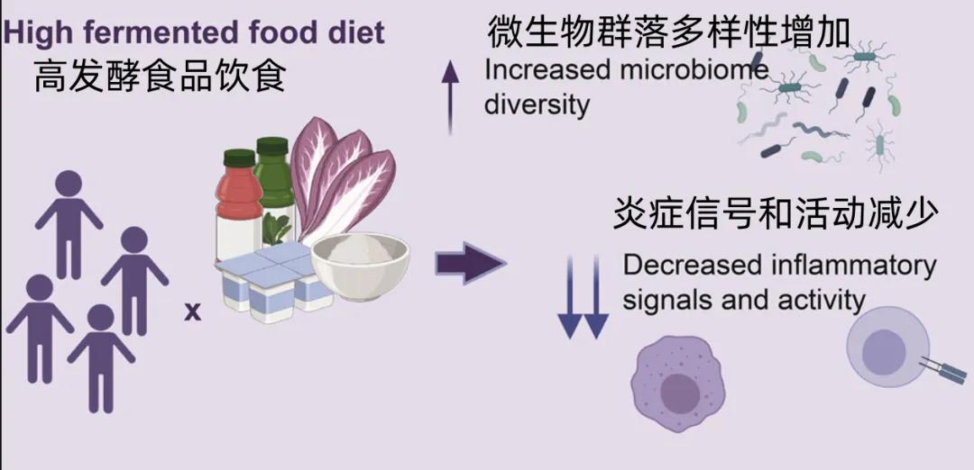 一类被严重低估的食物, 日常吃点, 降低身体多种炎症