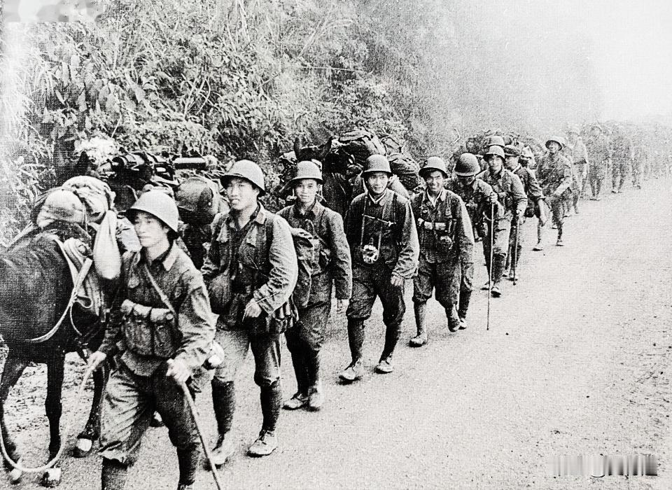 如果毛主席在，自卫反击越南战是否伤亡会大幅诚少？在79年至89年对越反击和两山