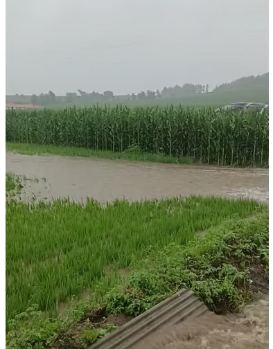 沈阳暴雨只看得到沈阳人苦中作乐，没有人真的在意东三省今年上半年都经历了什么。今年