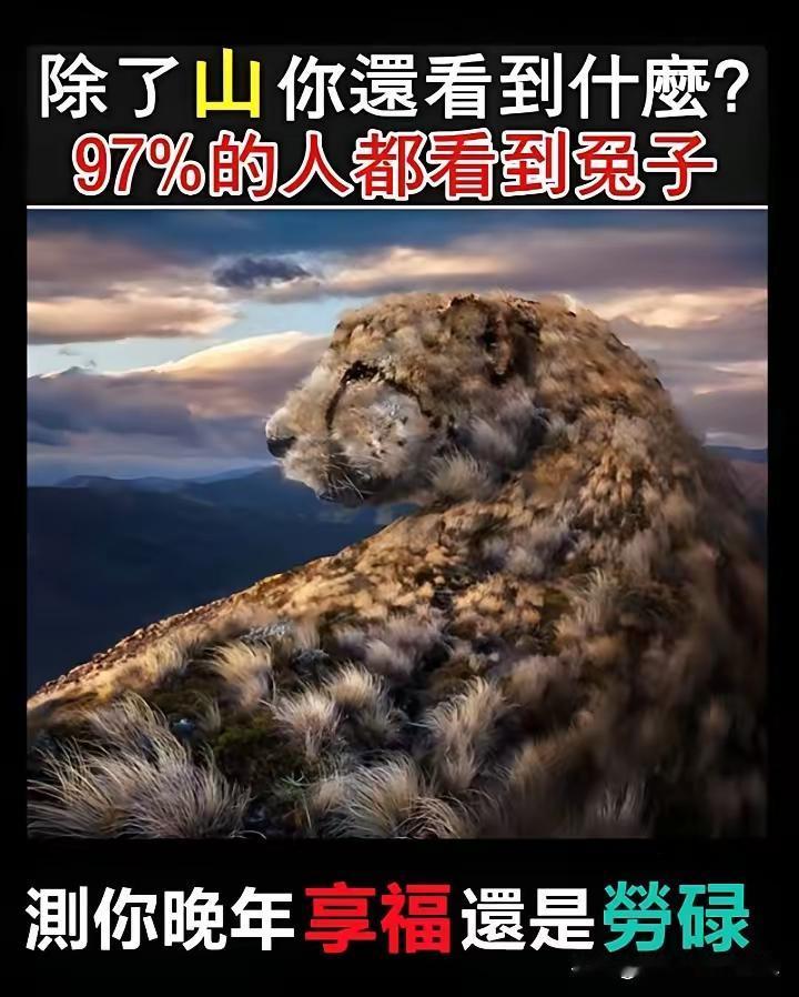 趣味心理测试：第一眼锁定，A豹子、B兔子，C山峰天空？一道题秒测你晚年是享清福