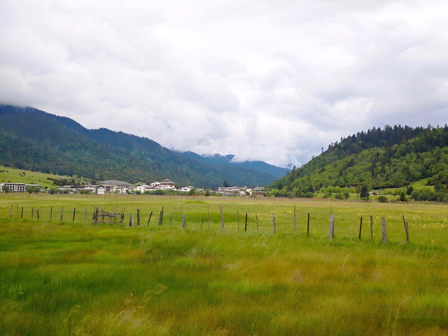 鲁朗小镇风景