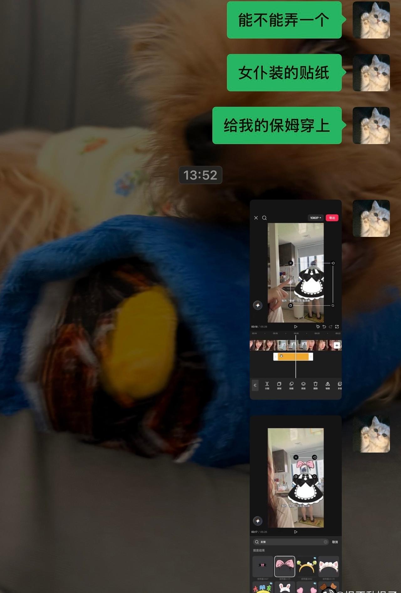 五老哥生成中….98%….​​​