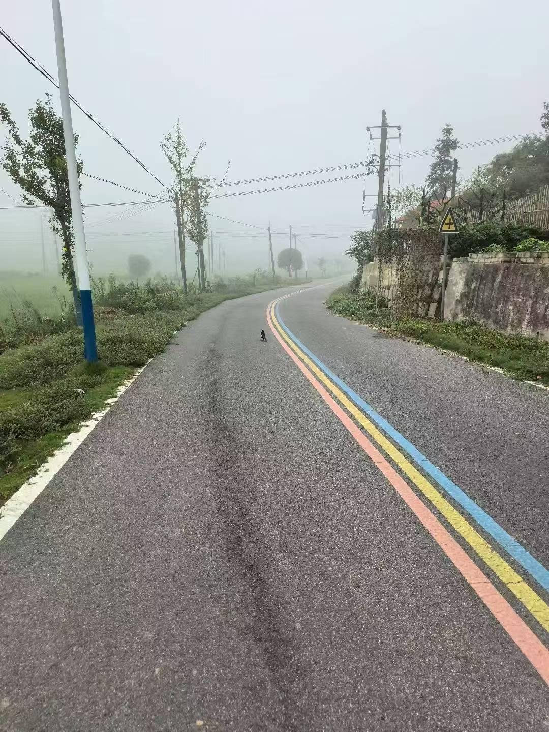 我发现女人会开车、敢开车，这个真的太有必要了！早在十几年前我就拿到了驾照，