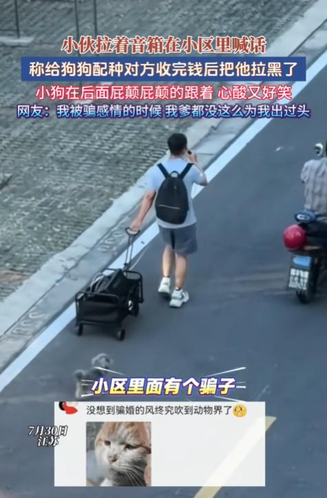 “哭笑不得！江苏一小伙转给小区邻居800元，约好双方狗狗配种，结果对方钱一到手，