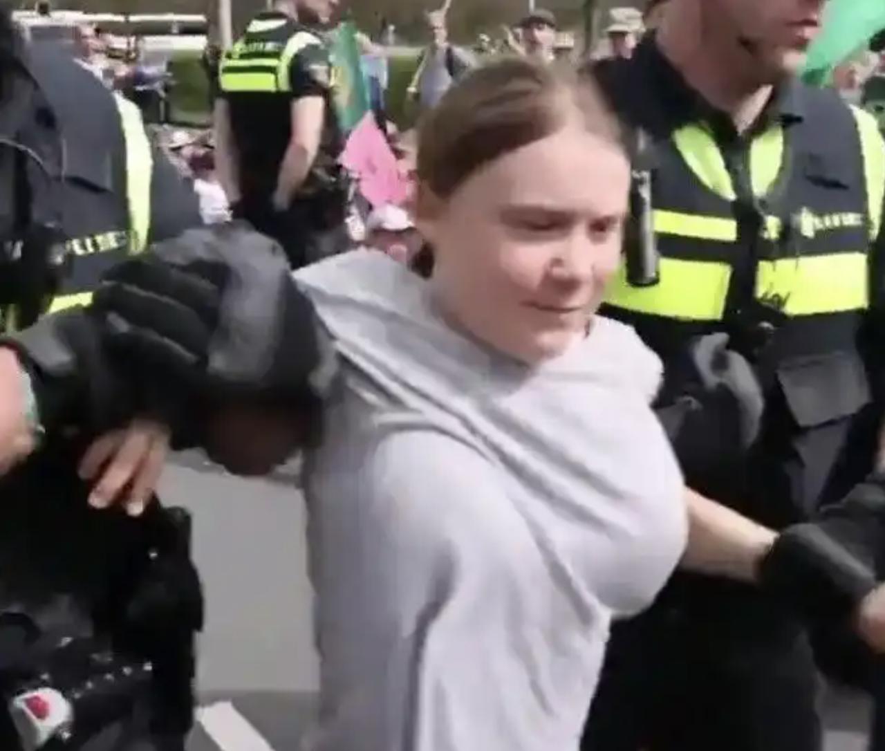 环保女孩格雷塔，总算是干了件人事，目前她所乘的“马德琳”号船只，已经进入了尼罗河