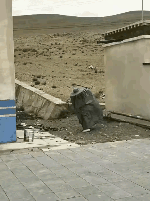 有一说一，这小姐姐是真的牛。