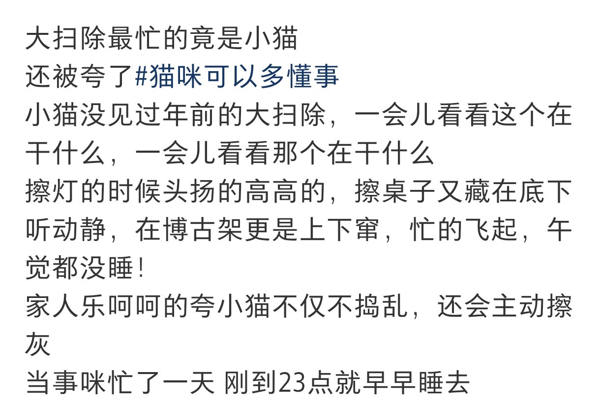 大扫除最忙的是小猫