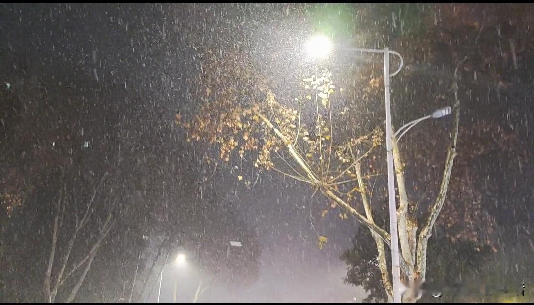 冷空气要来了上午还是晴空万里，这会就已经乌云密布，毛毛雨开始飘起来了。冷空气