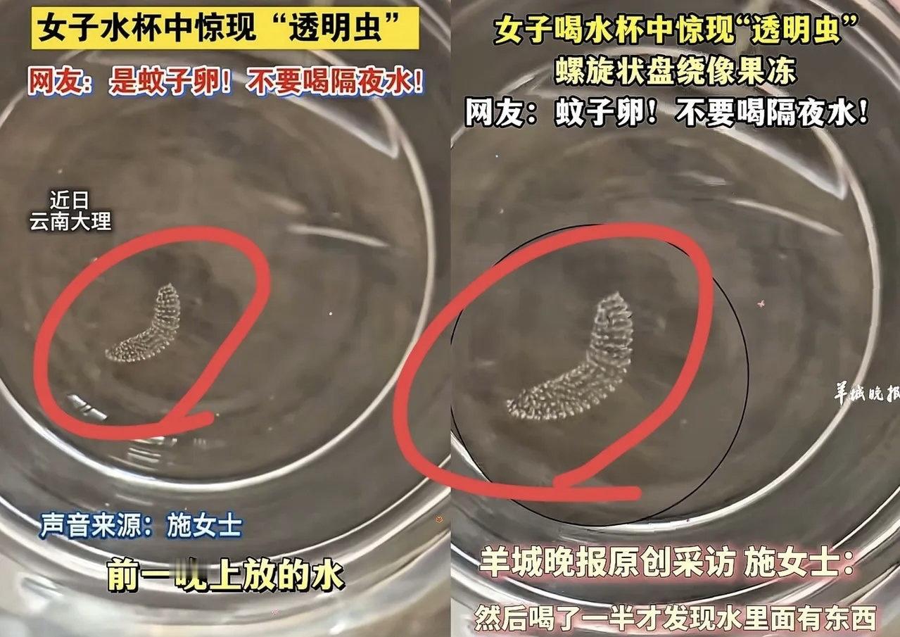 早上起来口干舌燥，抓起桌上的水杯就往嘴里灌——这场景是不是特别熟悉？可最近重庆的