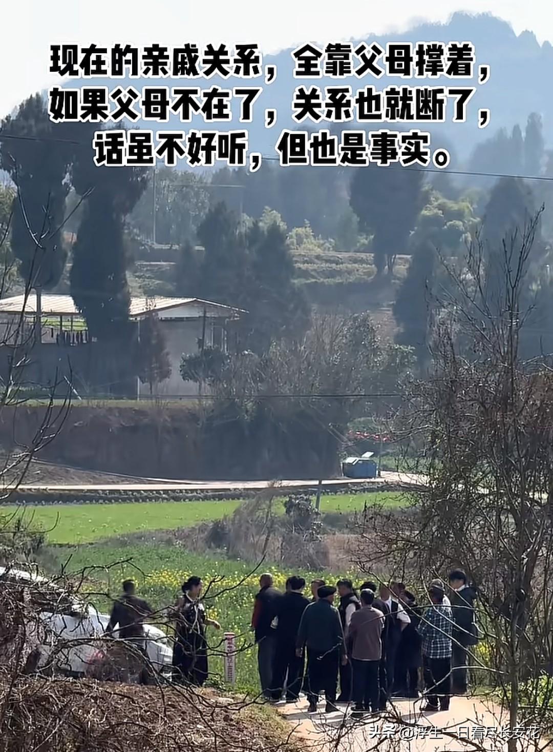 “父母不在，亲戚关系就断了”——这话扎心，却戳中太多人。小时候过年，舅舅舅妈提着