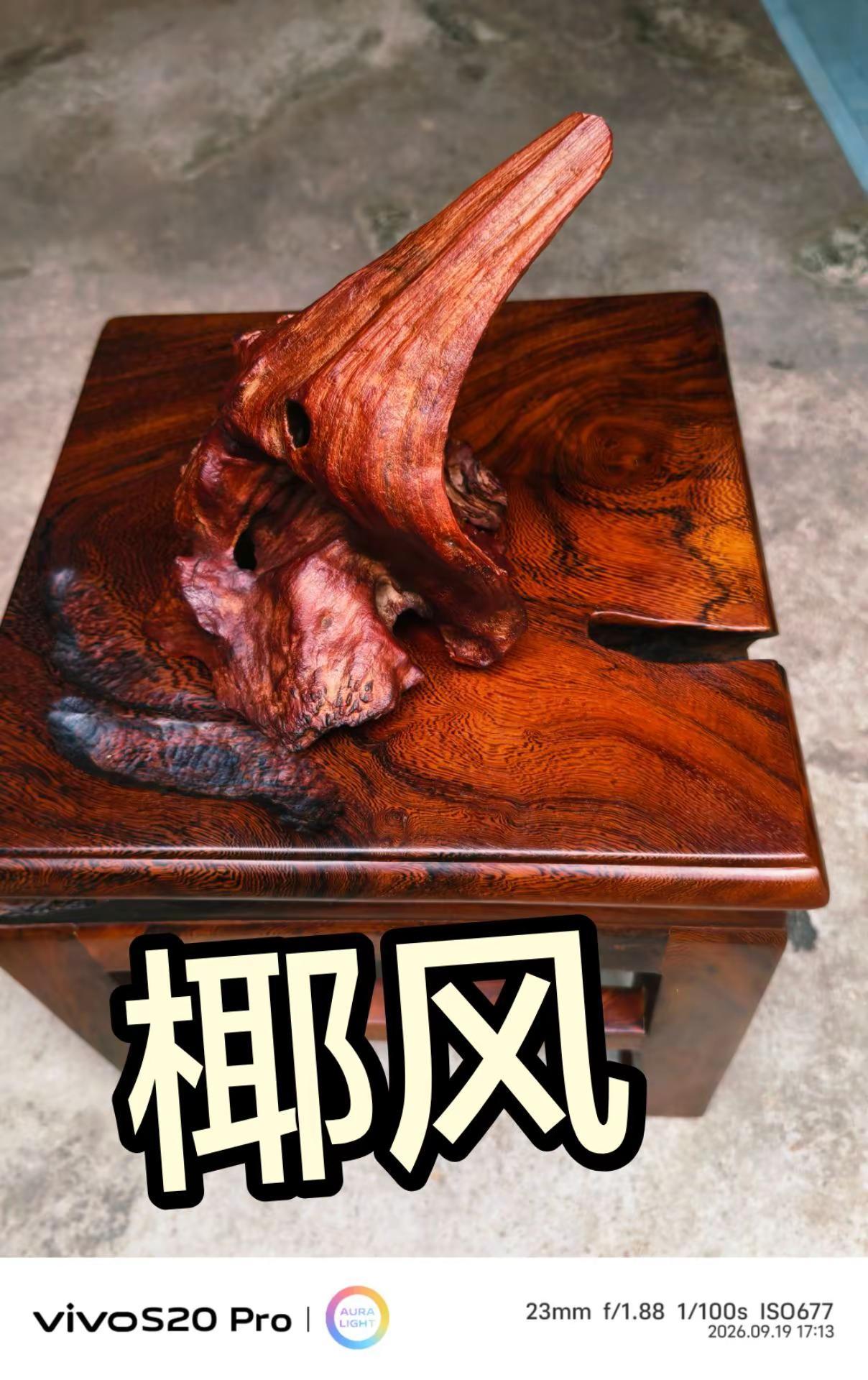 像不像椰子叶柄？花梨公自然造型。