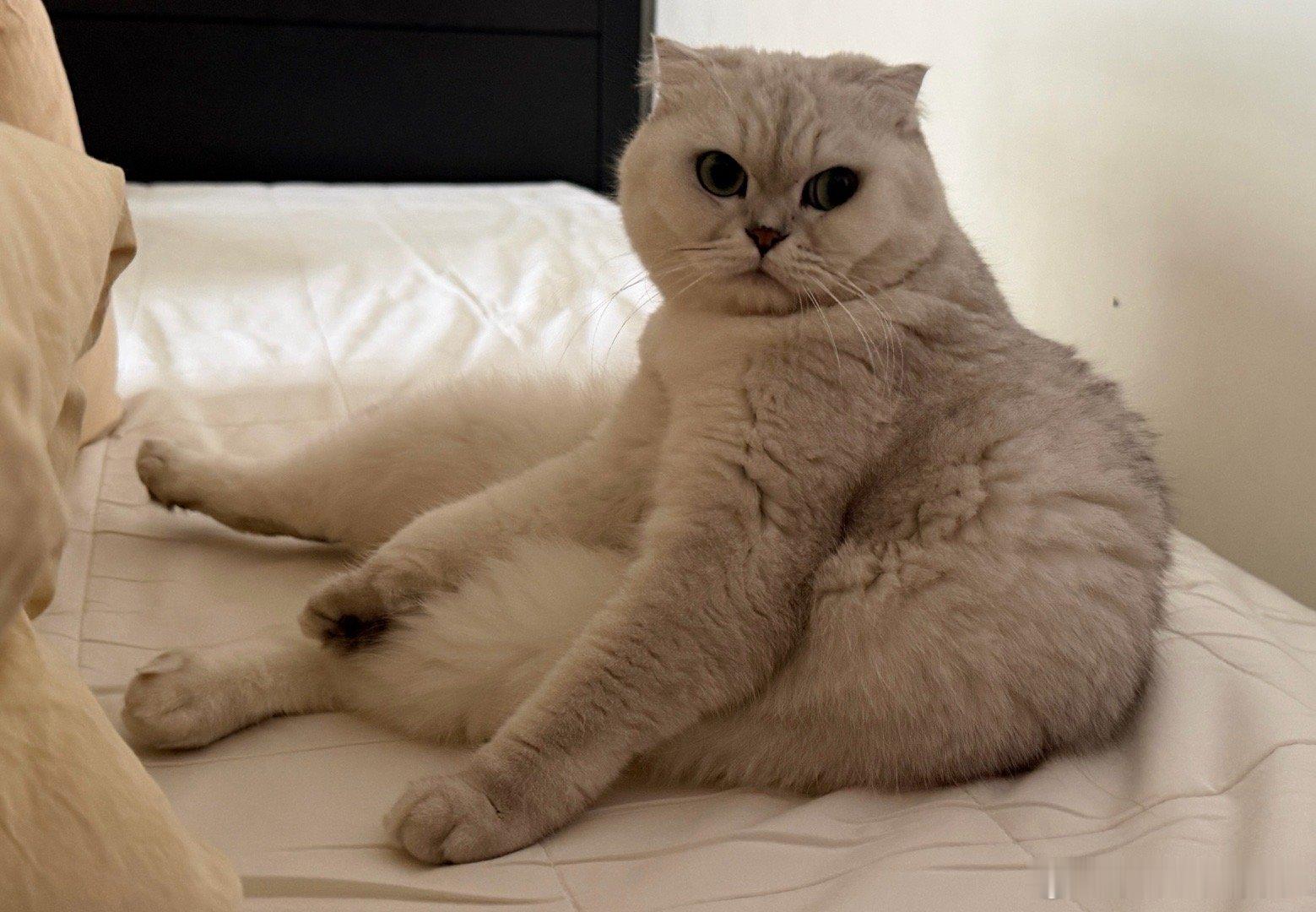 “意识到一些产品有情况”妈呀！都学会未卜先知了！来来来，让本哈基米大爷给你算一卦