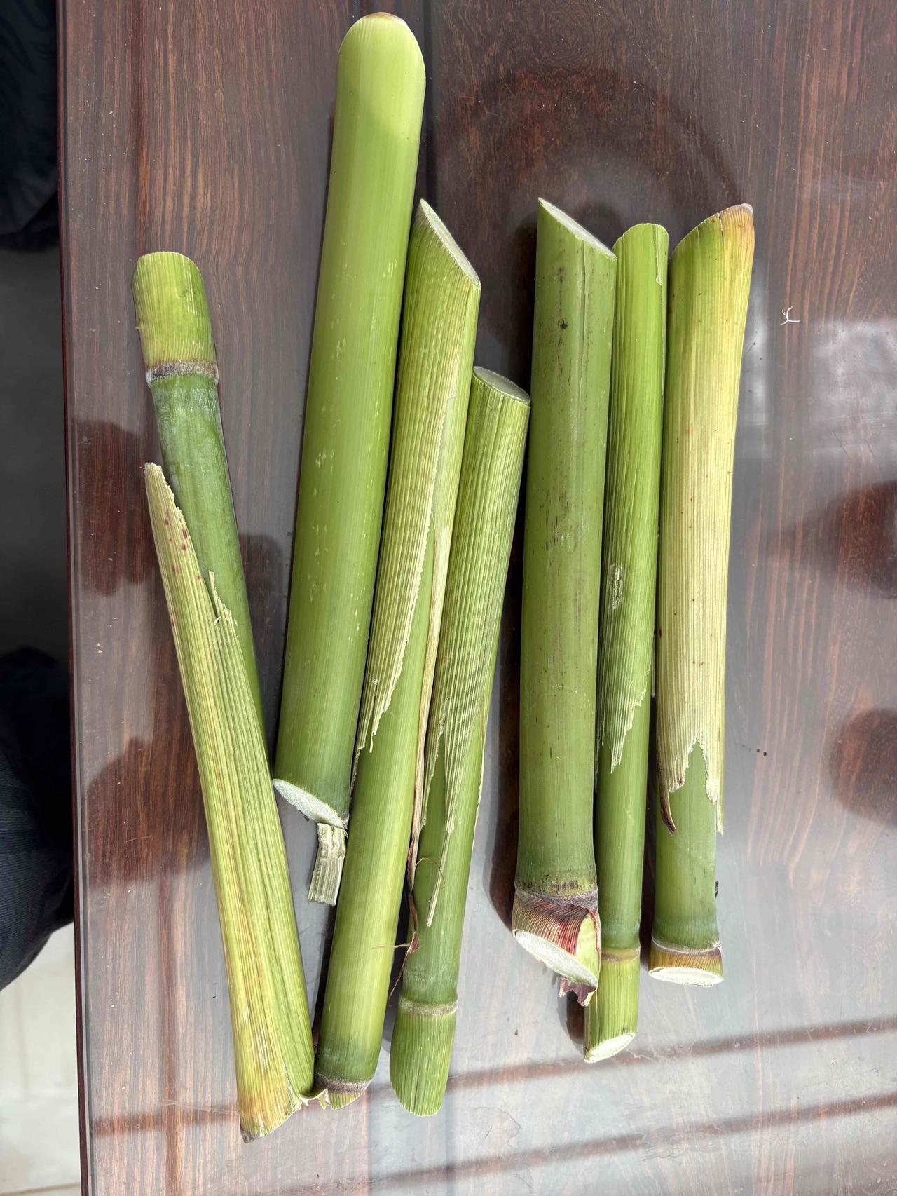 这才是我小时候吃的甘蔗。外形很像高粱，但是每节儿比高粱长，穗是干瘪的。多少年没见