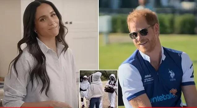 梅根的节目《WithLove,Meghan》收视排名第383位。而哈里的纪