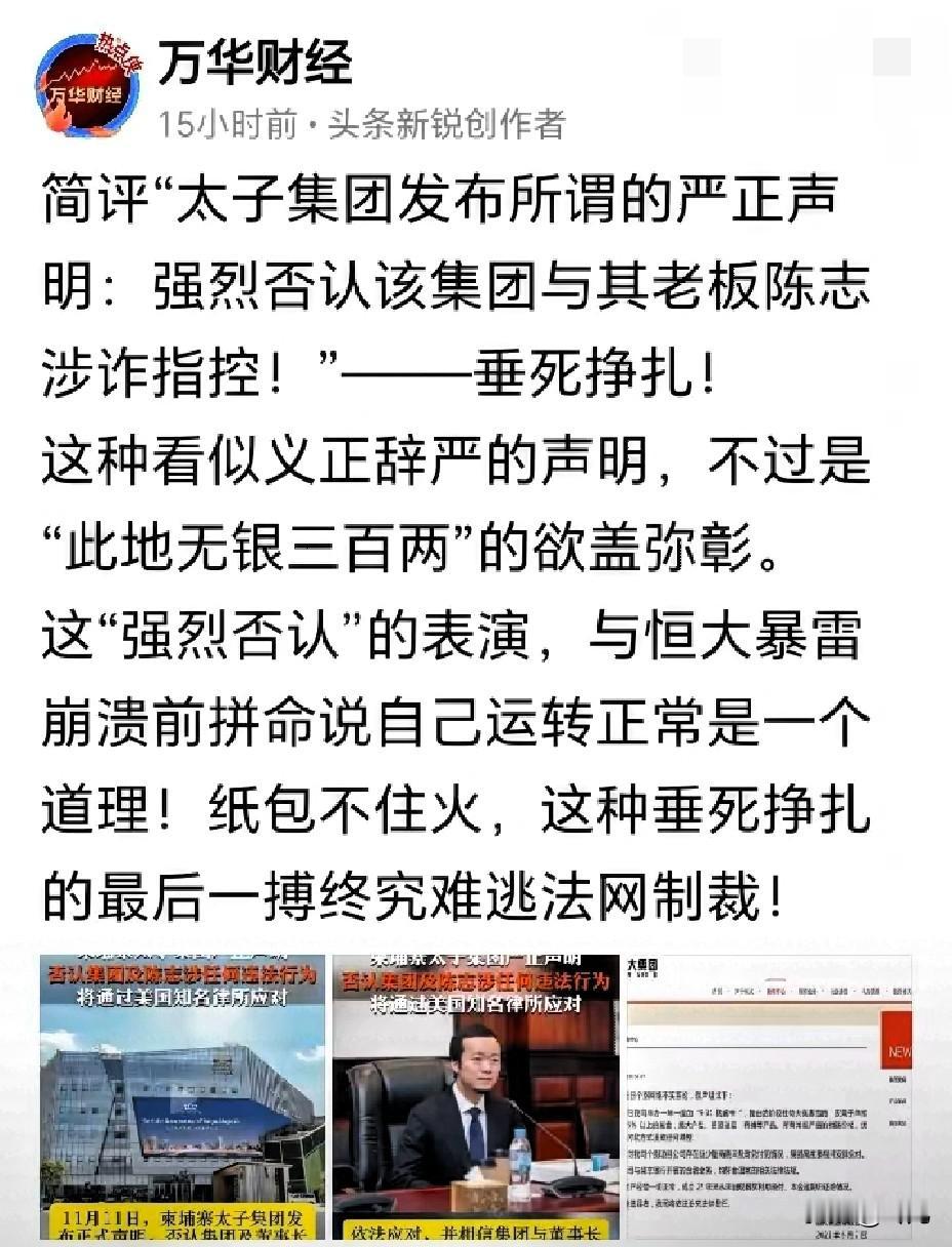 太子集团这波中文声明，真是把“套路”玩得明明白白！一边被美英韩新冻结百亿