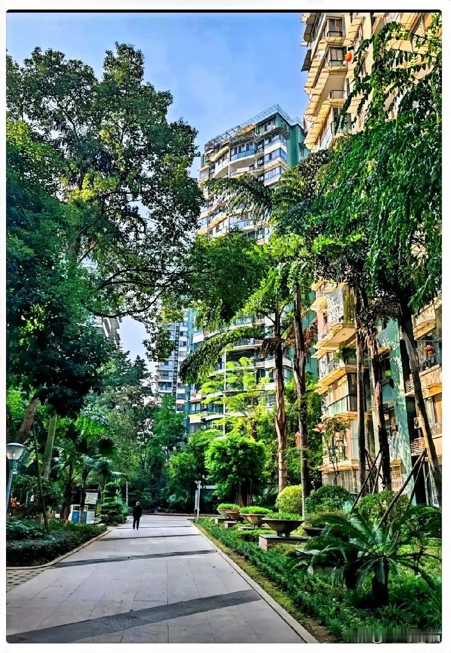 判断房价涨跌，有个土办法：你把房子往中介那一挂：如果中介不停带人来看房、