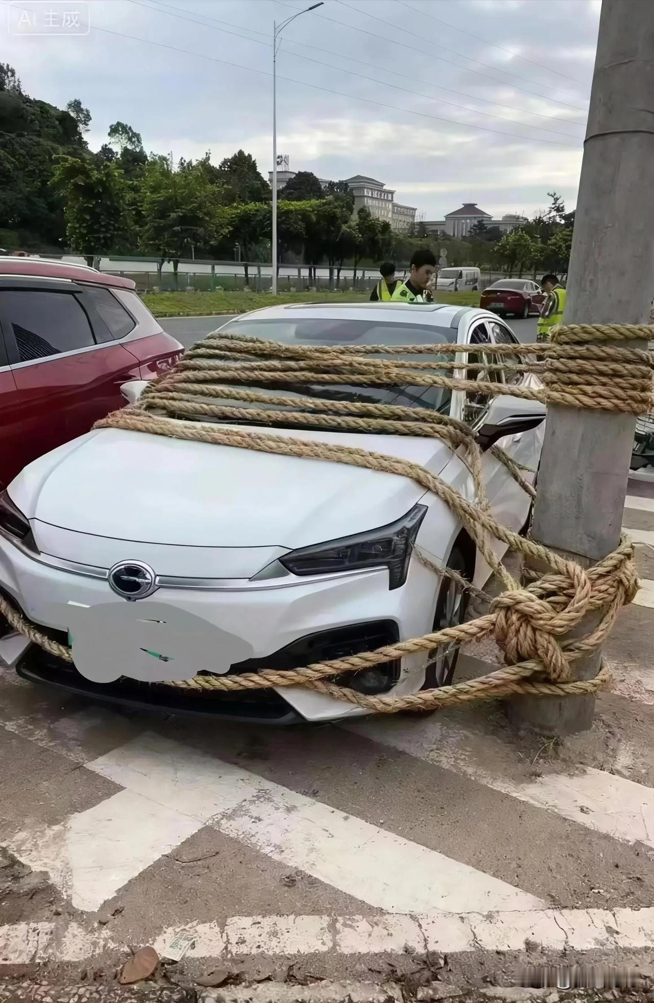 台风来临前修剪或“锯树”，确实是沿海城市在长期与台风抗争中总结出的一项重要且科学